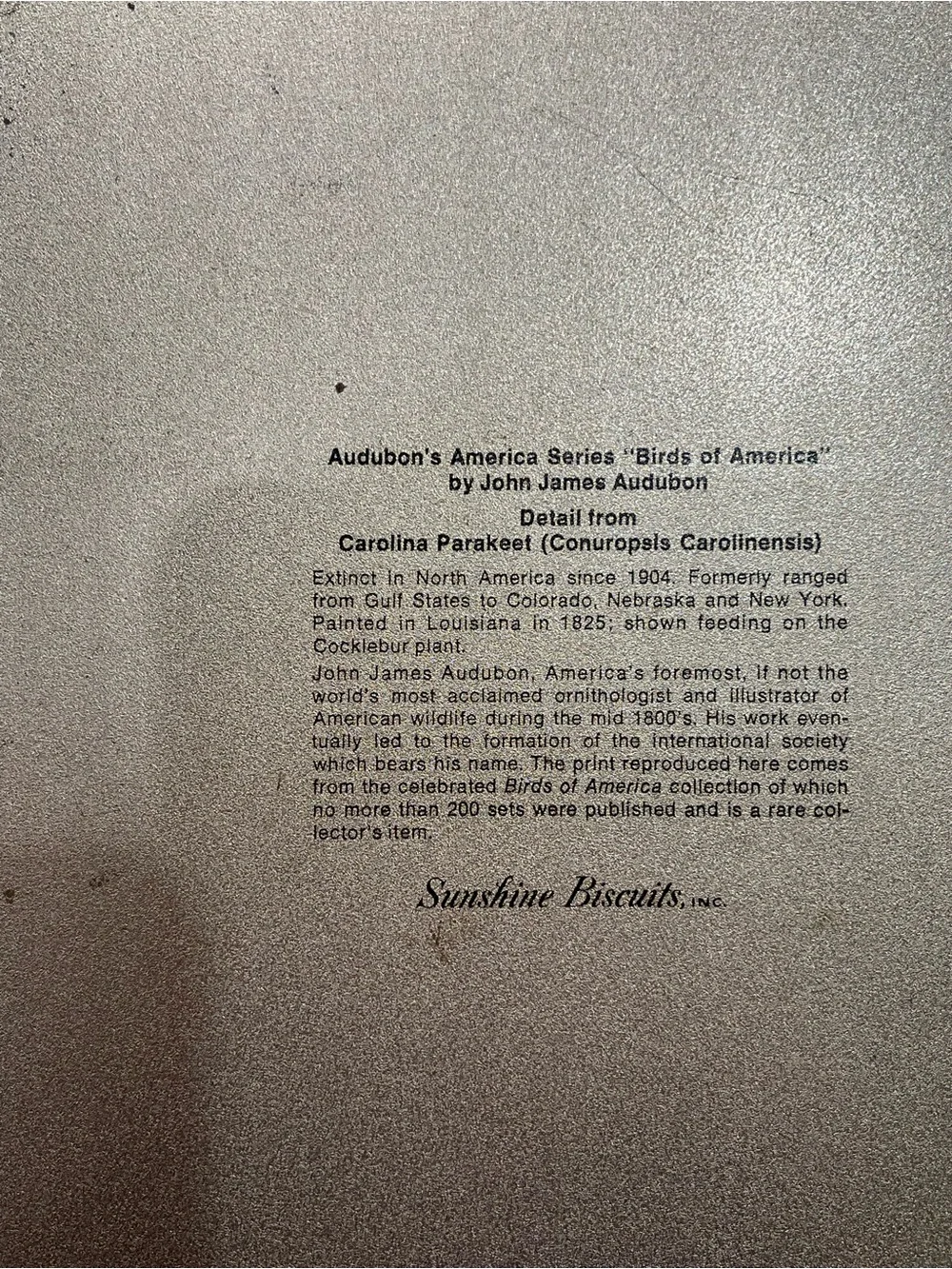 Sunshine Biscuits Audubon Birds of America Tin Trays Vintage 60s-70s